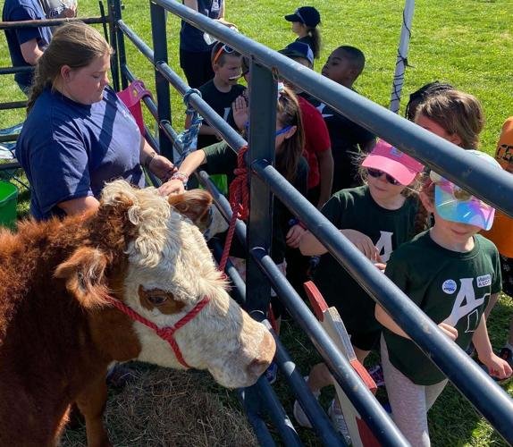 12th Annual FFA ‘Little Farmers’ Day’ a hit at Appomattox Primary School