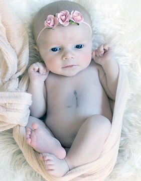 Harper Grace Harrison