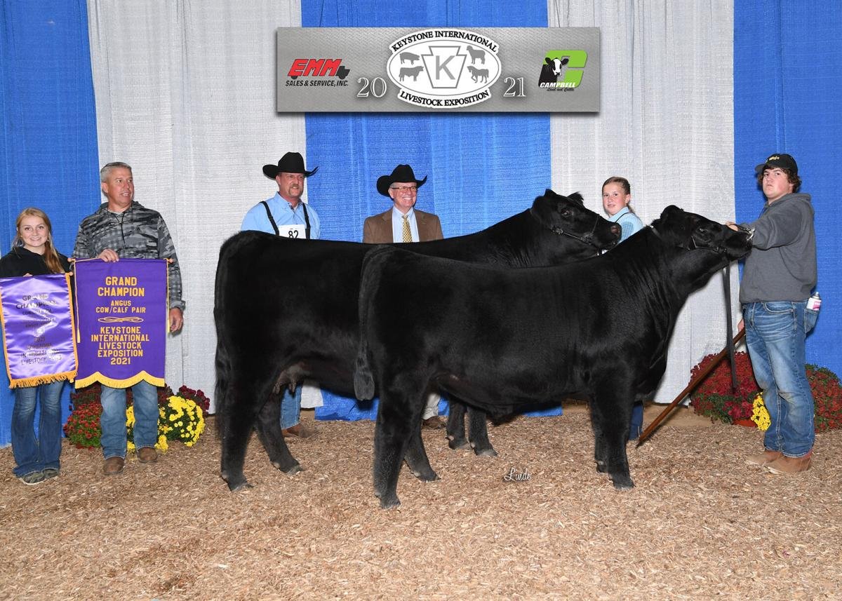 Appomattox girl’s livestock win awards in Harrisburg