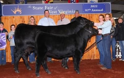 Stratton wins angus prizes at West Virginia State Fair
