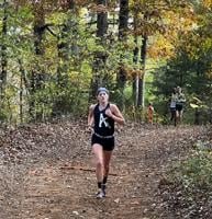 Martin, Hamilton lead ACHS in cross country district race; regionals are today in Salem