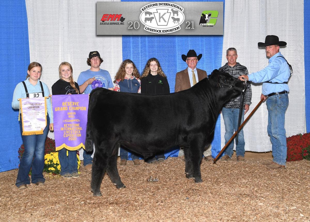 Appomattox girl’s livestock win awards in Harrisburg