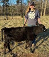 Happiness is 4-H: Rabbits. Chickens. Goats. Sheep. Pigs. Cattle.