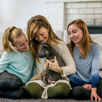 How to Welcome a New Puppy to the Family