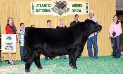 Stratton’s bull wins at Atlantic National event