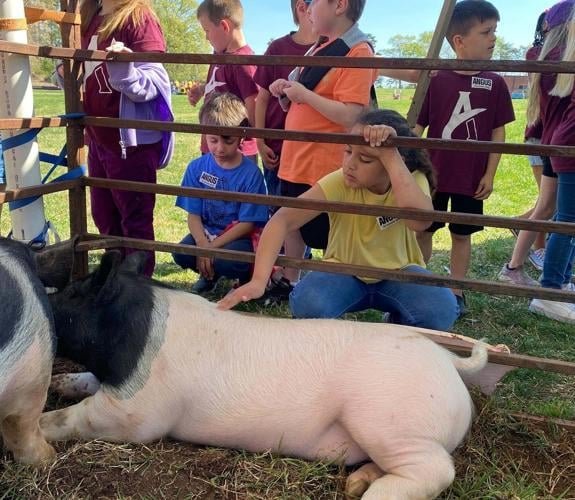 12th Annual FFA ‘Little Farmers’ Day’ a hit at Appomattox Primary School
