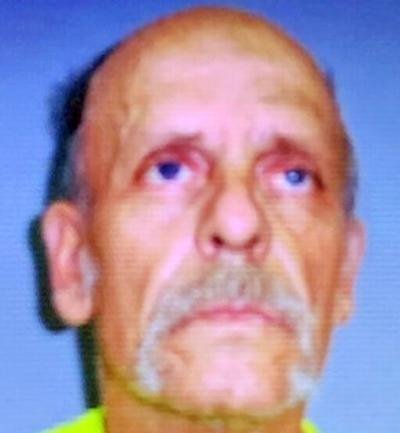 Man charged in connection to juvenile's shooting of horses, dog in Spout Spring