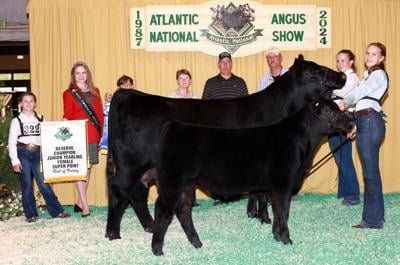 Madison Stratton's heifer wins at Maryland show
