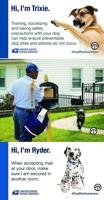 Don’t Let Your Dog Become a Statistic: Protect Postal Workers
